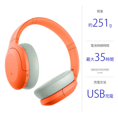 WH-H910N