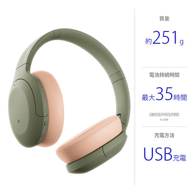 WH-H910N