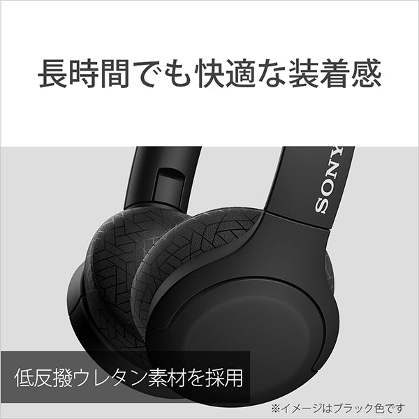 SONY WH-H810 – e☆イヤホン