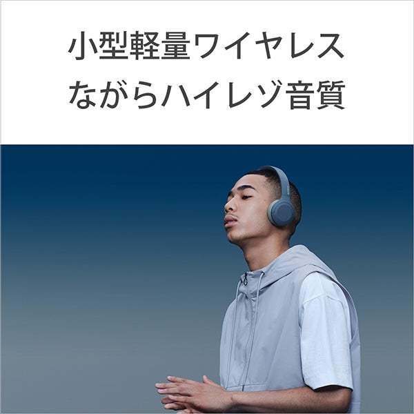 SONY WH-H810 – e☆イヤホン