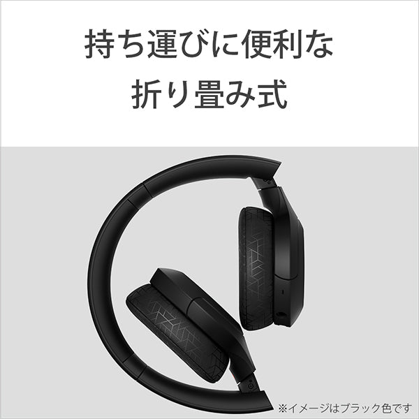 SONY WH-H810 – e☆イヤホン