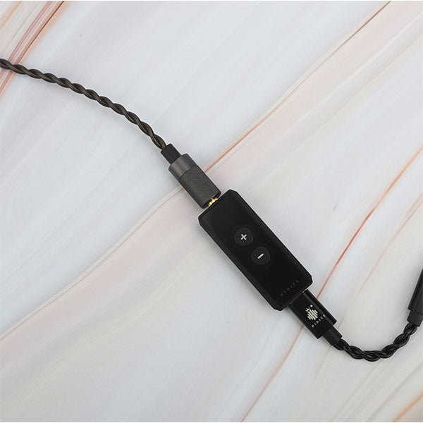 S8 DAC