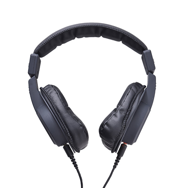 SOUND WARRIOR SW-HP300 – e☆イヤホン