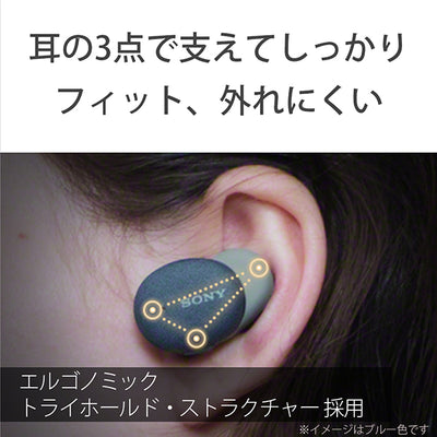 WF-H800