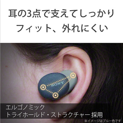 WF-H800