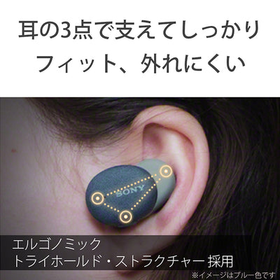 WF-H800