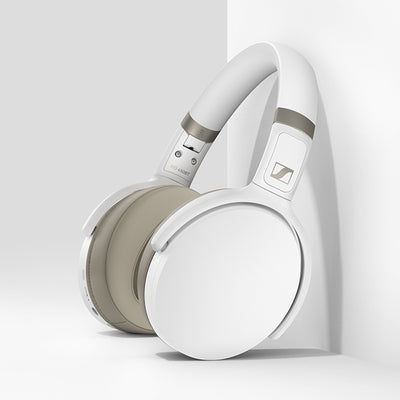 HD 450BT (ANC)