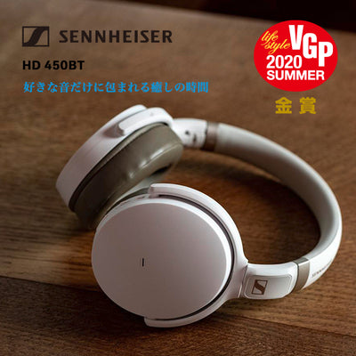 HD 450BT (ANC)