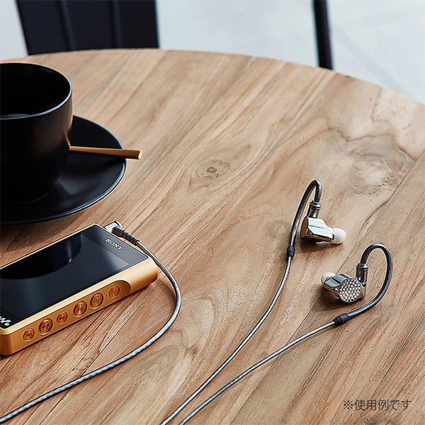 【ko_ki】B5048【超美品】SONY IER-Z1R 高級イヤホン ソニー、約20万円のハイレゾ対応イヤホン「IER-Z1R」を3月23日