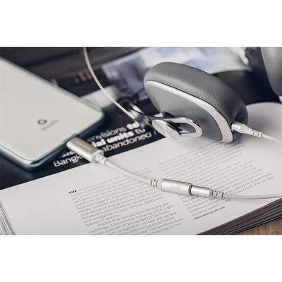 moshi USB-C Digital Audio Adapter【mo-uscaud】