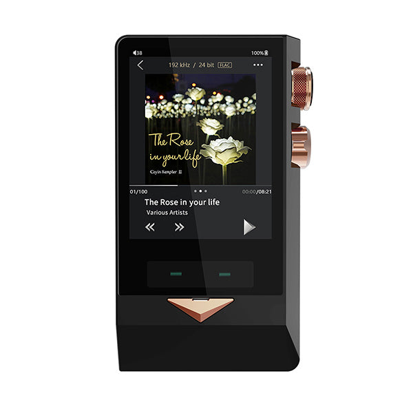 Cayin N8 DAP Brass Black – e☆イヤホン