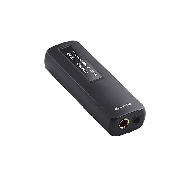 Lotoo PAW S1（USB-C/Lightning） – e☆イヤホン