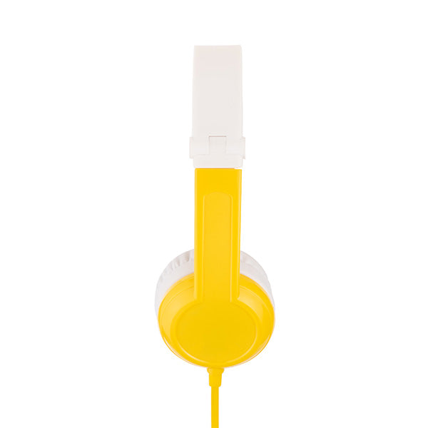 BuddyPhones Connect