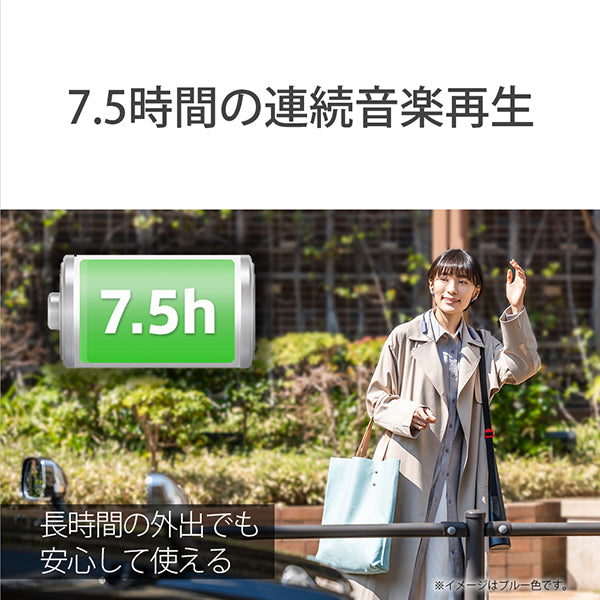 SBH82DJP