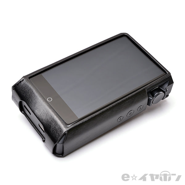N6ii DAP/A01