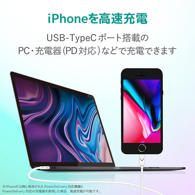 USB-C to Lightningケーブル