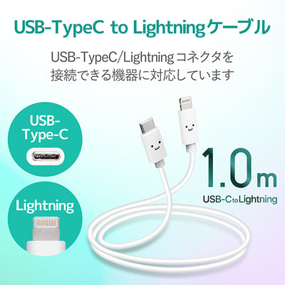 USB-C to Lightningケーブル