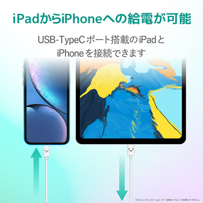 USB-C to Lightningケーブル