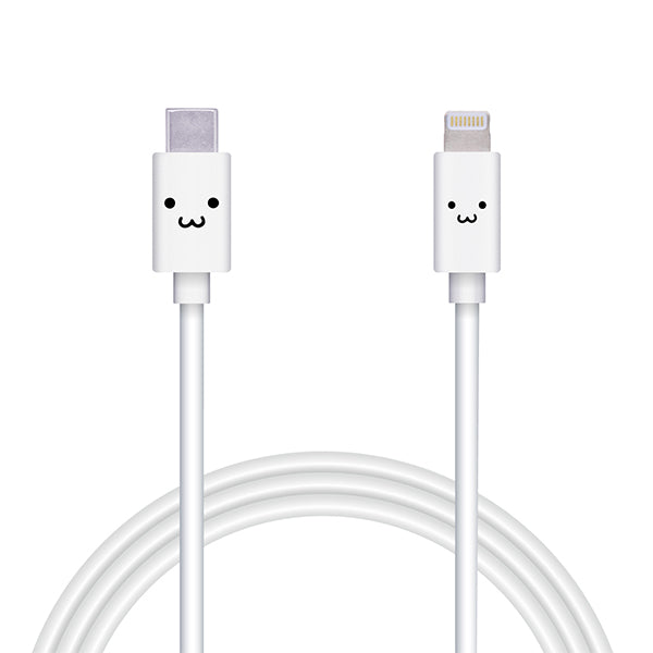 USB-C to Lightningケーブル