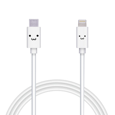 USB-C to Lightningケーブル