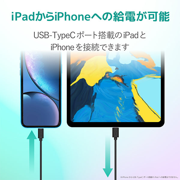 USB-C to Lightningケーブル