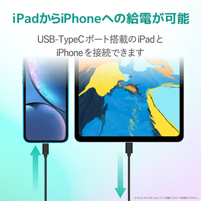 USB-C to Lightningケーブル