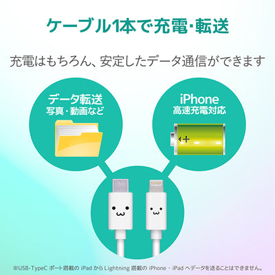 USB-C to Lightningケーブル