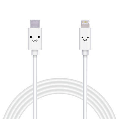 USB-C to Lightningケーブル