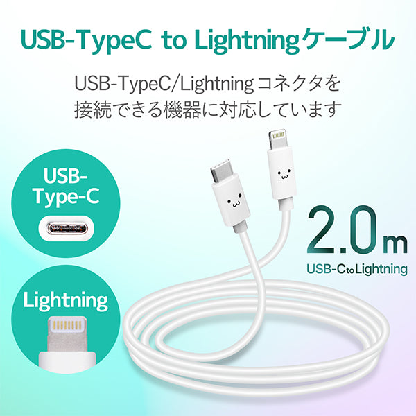 USB-C to Lightningケーブル