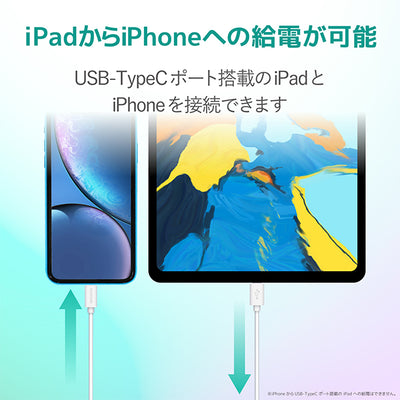 USB-C to Lightningケーブル