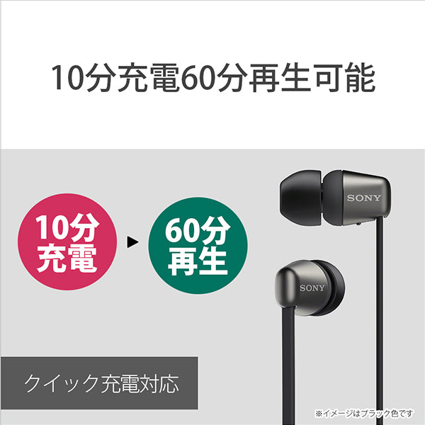 WI-C310