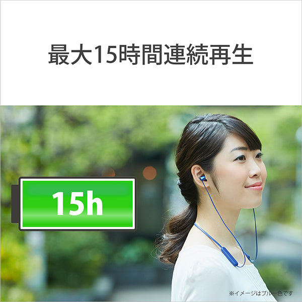 WI-C310