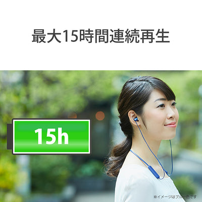 WI-C310