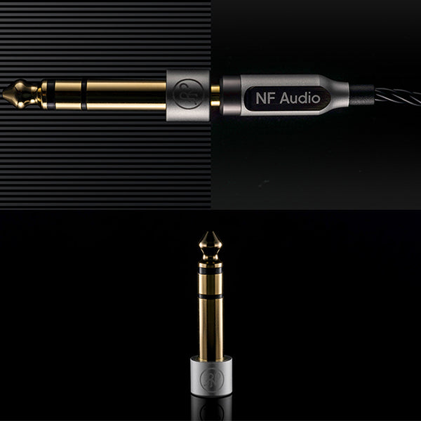 NF AUDIO NM2 – e☆イヤホン