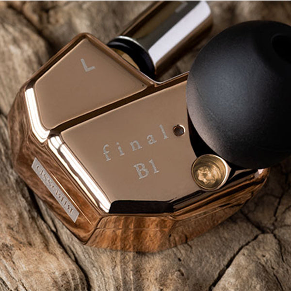 B1 【FI-B1BDSSD】