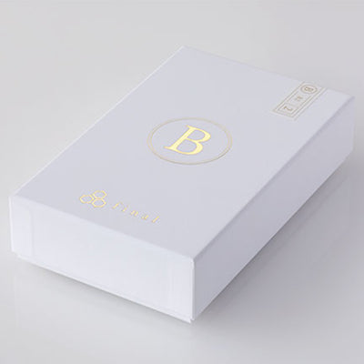 B2 【FI-B2BSSD】