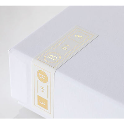 B3 【FI-B3B2SSD】