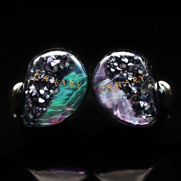 AAW Canary 美品 付属品完備 ユニバーサル 高級IEM イヤホン 31968_3502_720x.jpg?v=1741423399