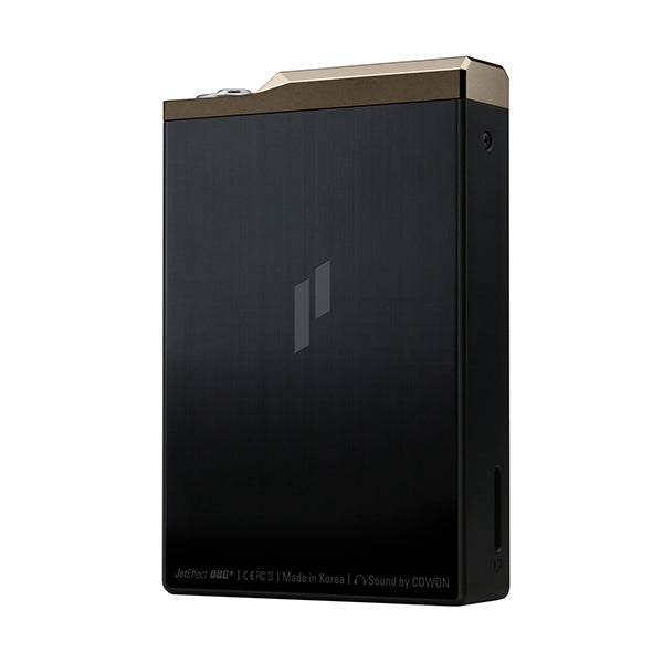 PLENUE D2【PD2-64G】