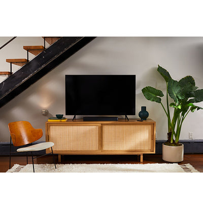 Bose TV Speaker