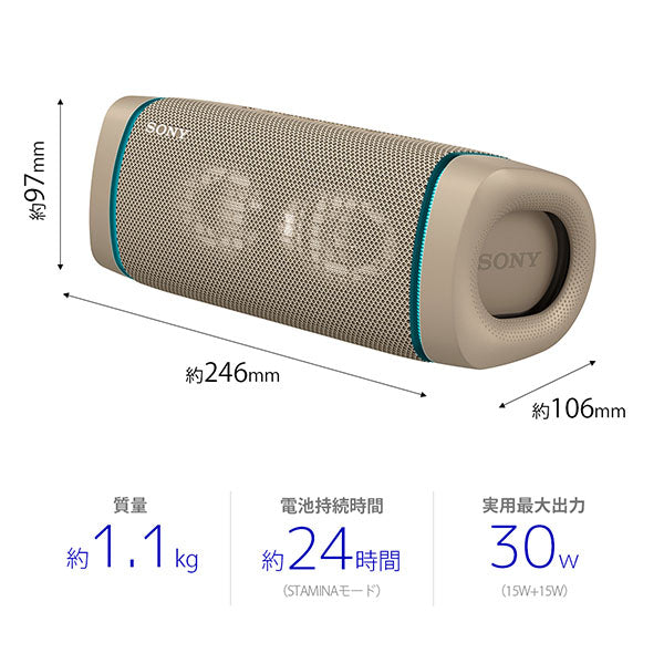 SONY SRS-XB33 – e☆イヤホン