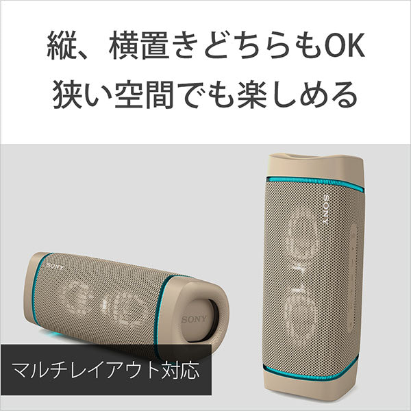 SRS-XB33