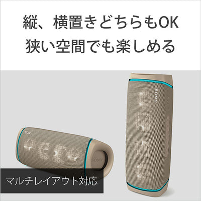 SRS-XB43