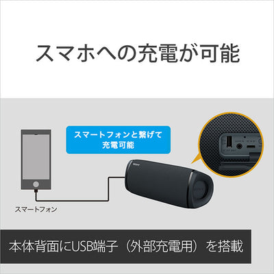SRS-XB43