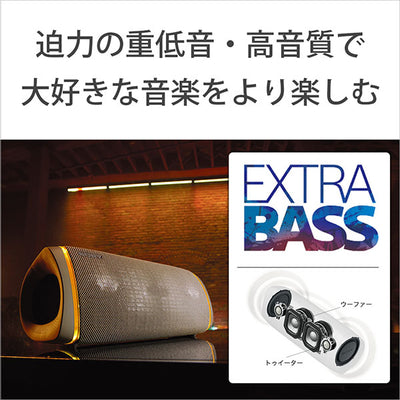 SRS-XB43