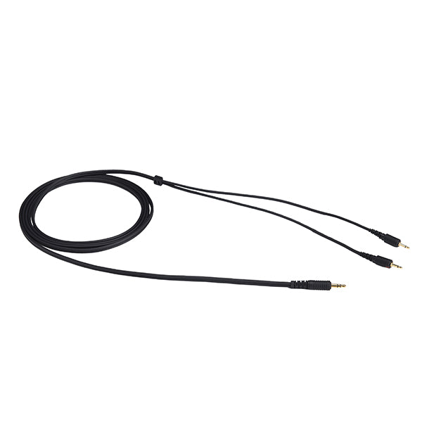 SOUND WARRIOR SW-HP100 – e☆イヤホン