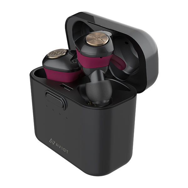AVIOT TE-D01d 美品 おまけでSpinFit社製イヤーピース付 hp-dme_top_new.jpg