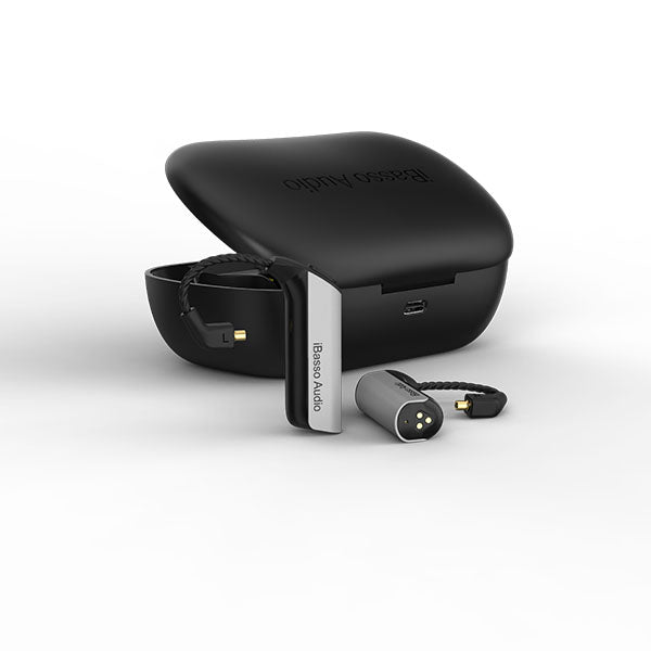 iBasso Audio CF01 – e☆イヤホン