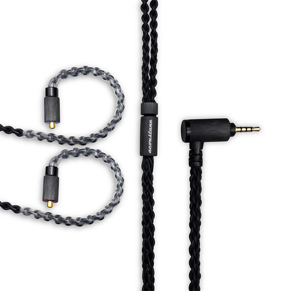 Acoustune ARC52 Pentaconn Ear-2.5mm4極 – e☆イヤホン