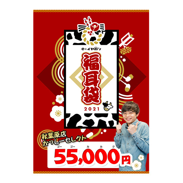 秋葉原店かっしー セレクト 真空管DAPしか勝たん。袋